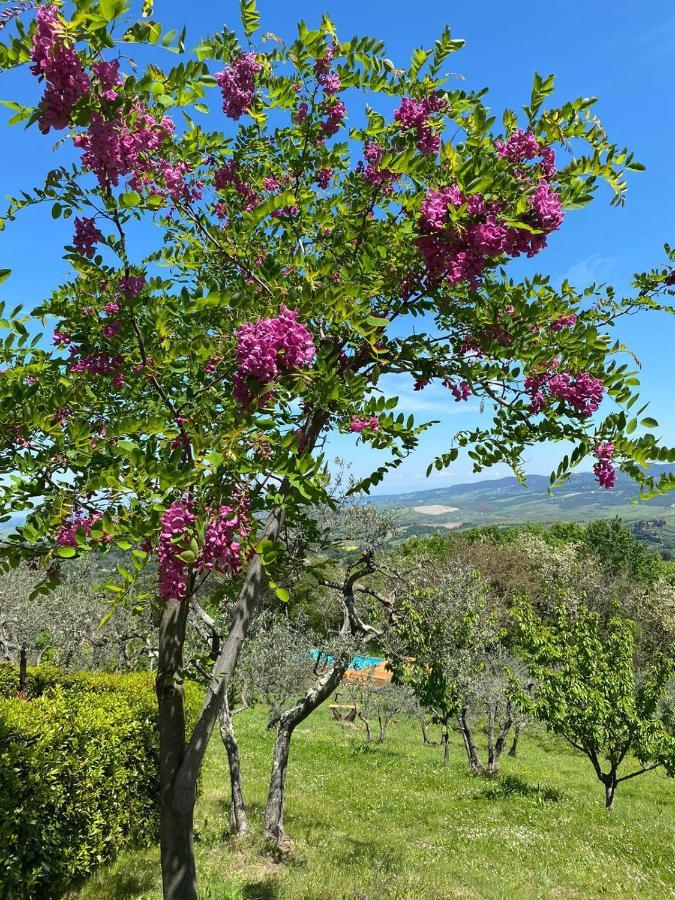 Casa Di Coraggio Vila Volterra Exterior foto